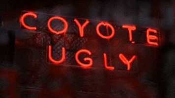 coyote ugly film GIF