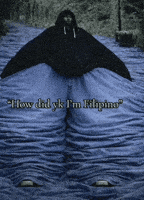 Philippines Filipino Meme GIF