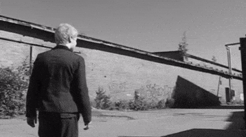 Confused Black And White GIF