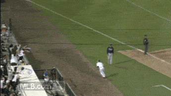 baseball bear GIF by MLB