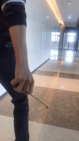 Animated GIF