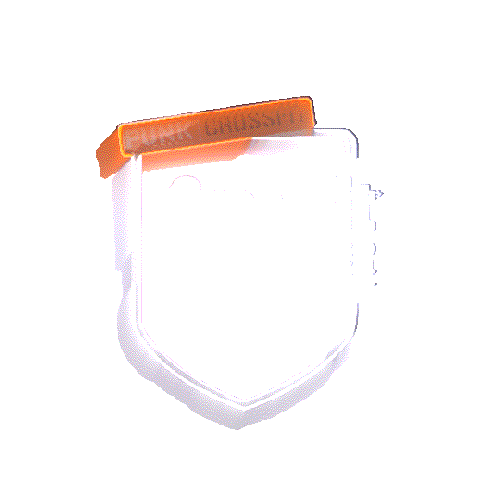 Sport Crossfitopen Sticker by PUNK CROSSFIT