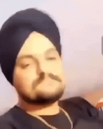 Moose Punjabi GIF