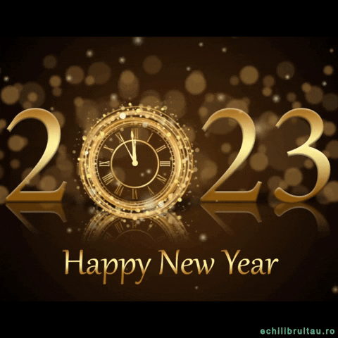 New Year Celebration GIF by echilibrultau