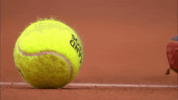 French Sport GIF by Roland-Garros