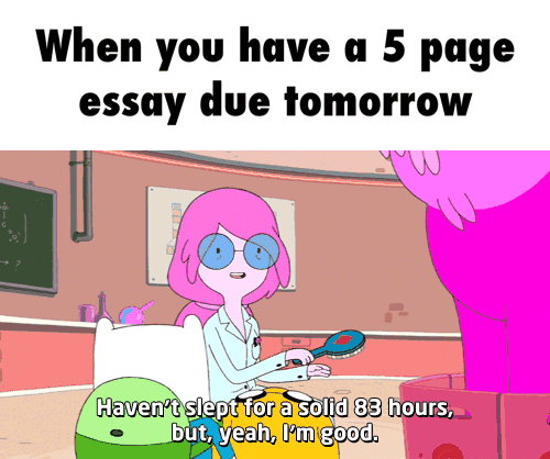 essay