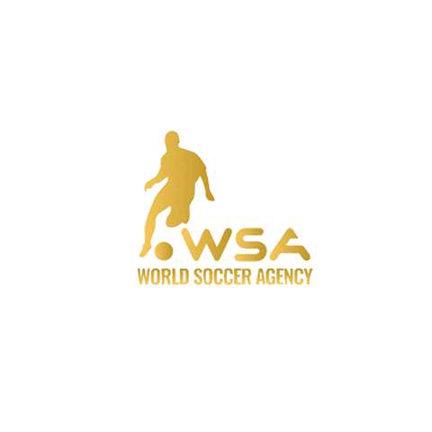 worldsocceragency Sticker