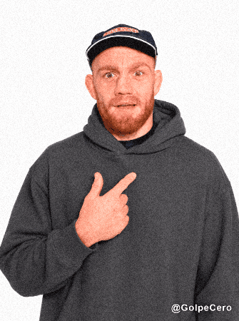 Ufc Mma GIF