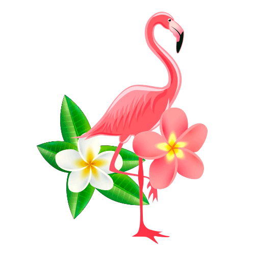 Bomba Argan Hola Verano Te Extraã±E Sticker by SEDAL