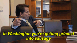 White House Politics GIF