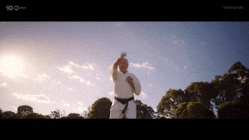 Karate GIF by The Traitors Australia