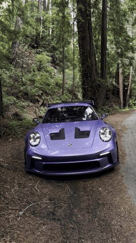 Purple GIF