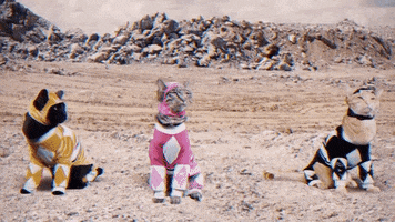 watching mighty morphin power rangers GIF by Power Rangers