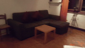 Donovandon  GIF