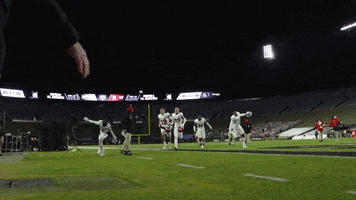 Celebration GIF by Rutgers Football