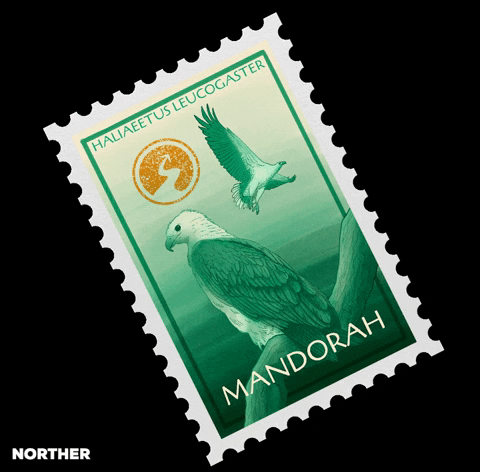 Northern Territory Bird GIF by Norther