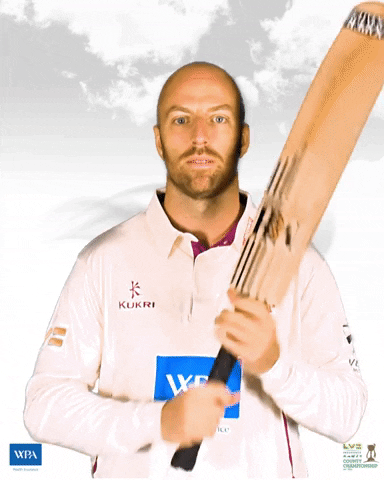 England Cricket Wpa GIF by Somerset County Cricket Club