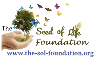 Plant Education GIF by The Seed of Life Foundation