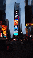 times square city GIF