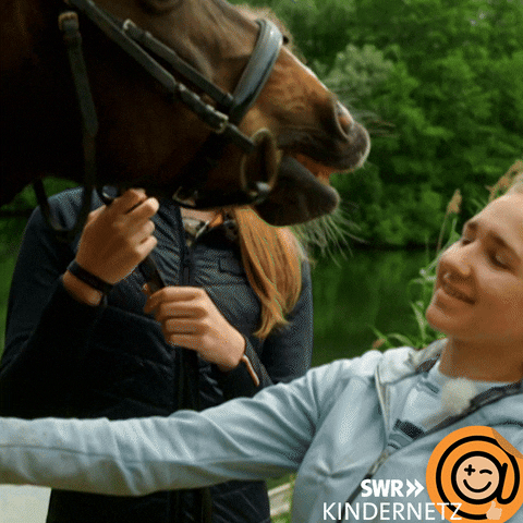 Horse Lia GIF by SWR Kindernetz