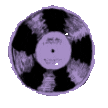 Vinyl Record Sticker by Beach Bunny