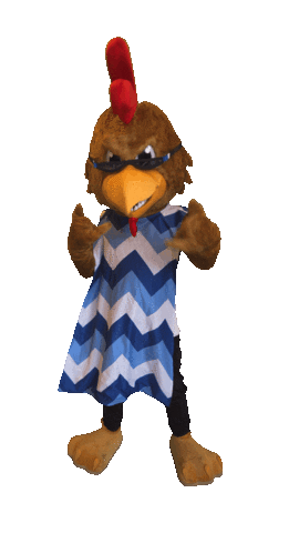 Loco Chicken Sticker