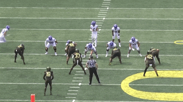 Cfcbears GIF