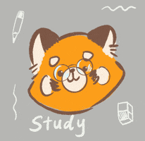Reading Study GIF