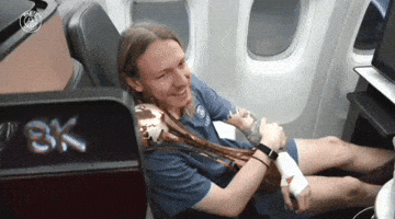 Paris Saint-Germain Psg GIF