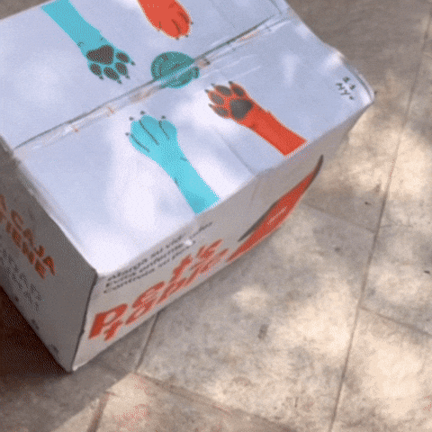 Animated GIF