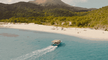 Boat Arrive GIF by TicketToParadise