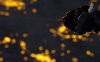 Animation GIF