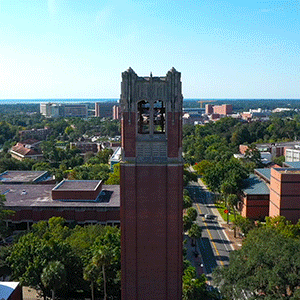 French Fries Drone GIF by University of Florida