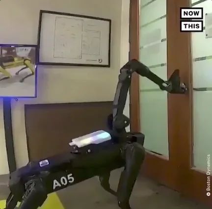 Come In Boston Dynamics GIF