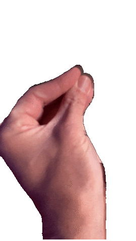 Sticker by Not Boring Tours