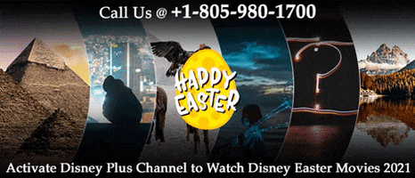 Disney Plus On Roku GIF