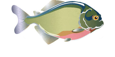 navarroguilherme Sticker