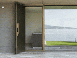 HIRT kinetics GIF