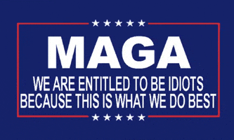 Entitled To Be Idiots GIF