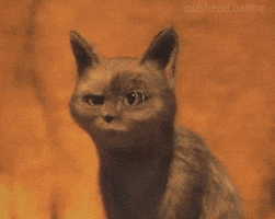 Puss In Boots Oops GIF