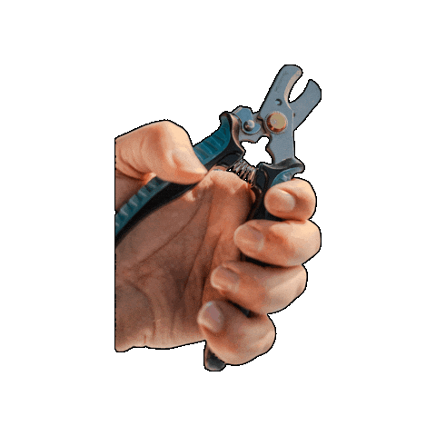 Stainless Steel Cut Sticker by AFW Fishing Brands