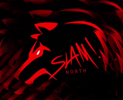 SlamNorth slam wolves gowolves slamnorth GIF