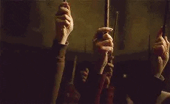 Harry Potter Raise Your Wand GIF - Find & Share on GIPHY