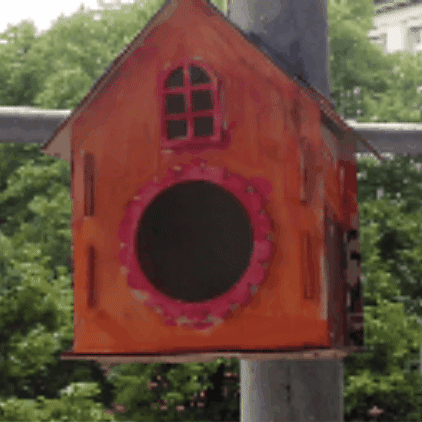 Birdwatching GIF