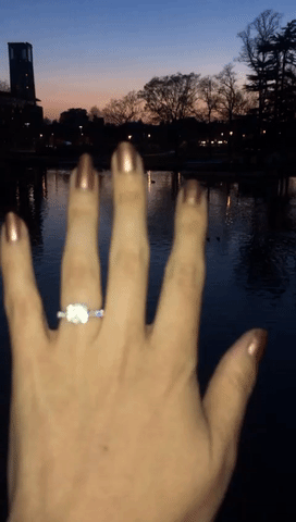 jaz_butterfly  GIF