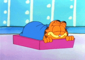 Garfield And Friends Saturday GIF by Maudit