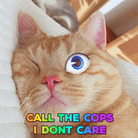 Cat Cops GIFs