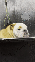Happy Butler Bulldogs GIF by Butler University