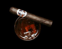 Cuba Cigar GIF by El Puro Cuban Restaurant