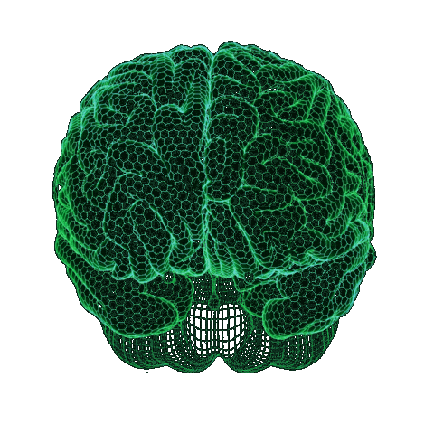 Sticker by American Academy of Neurology